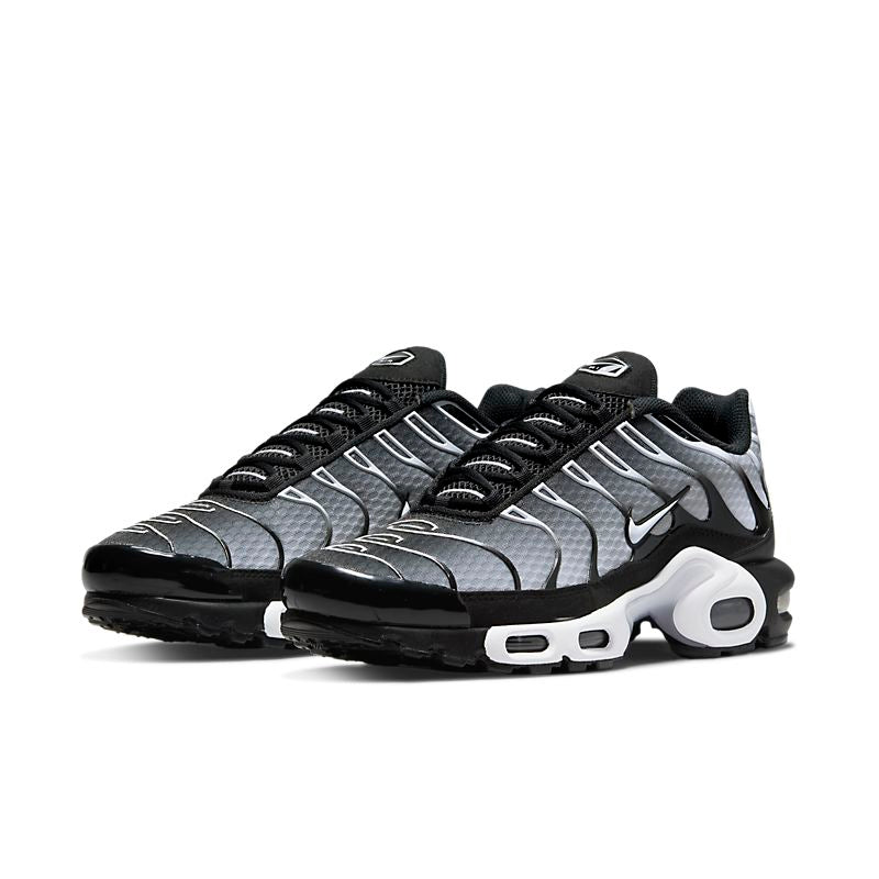 Nike Air Max Plus TN1 'Black Metallic'