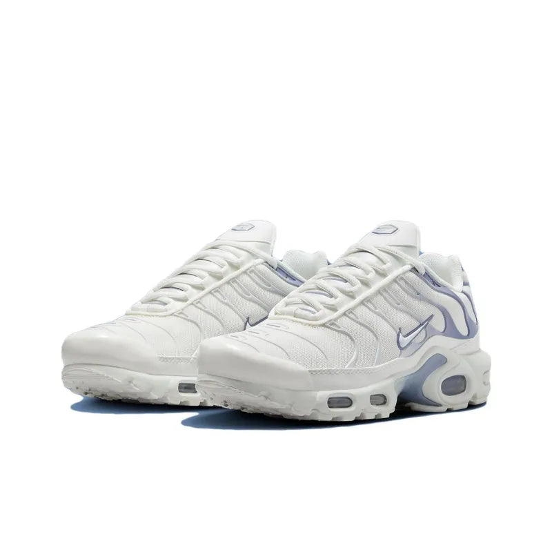 Nike Air Max Plus TN1 'Ashen Slate'