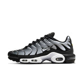 Nike Air Max Plus TN1 'Black Metallic'